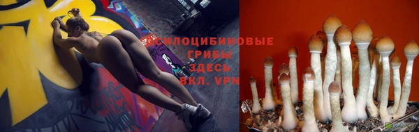 МДПВ Магас
