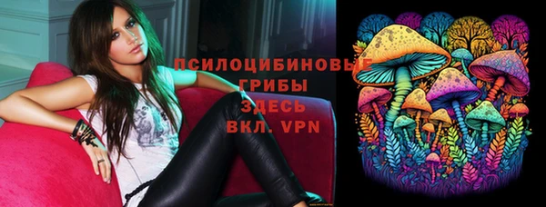 МДПВ Магас