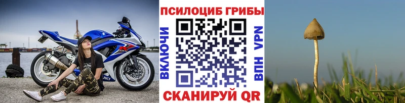 Галлюциногенные грибы GOLDEN TEACHER Заозёрск