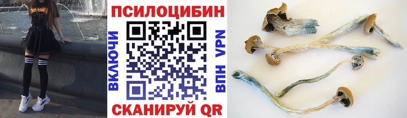 Псилоцибиновые грибы Psilocybine cubensis  дарнет шоп  Заозёрск 