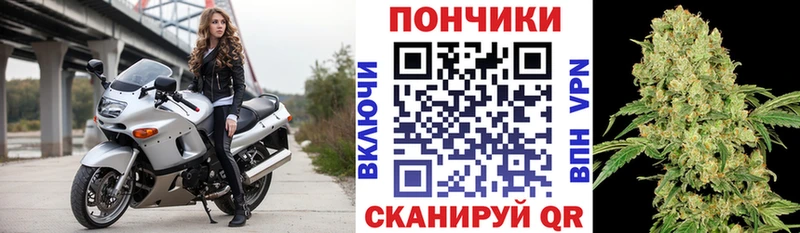 купить наркотики цена  Заозёрск  Марихуана ГИДРОПОН 